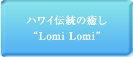 �ϥ磻������������LomiLomi��