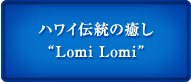 �ϥ磻������������LomiLomi��