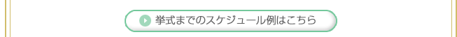 �󼰤ޤǤΥ������塼����Ϥ�����