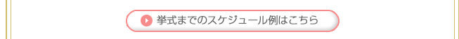 �󼰤ޤǤΥ������塼����Ϥ�����