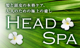 HEAD SPA �إåɥ���
