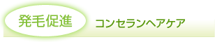 発毛促進/コンセランヘアケア