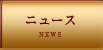 �˥塼��