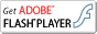 Adobe Flash Player �����ꤹ��