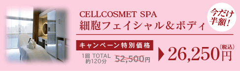 ��˦�ե����������ܥǥ���������Ⱦ�ۡ������ץ�ǰ���̲��ʢ�26,250��(�ǹ�)