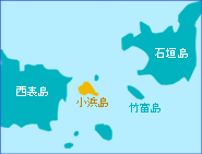 �Ͽޡ�������
