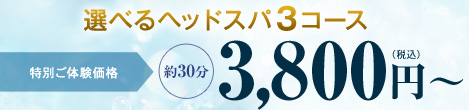 ���٤�إåɥ���3�����������̤��θ����� 3,800�ߡ�