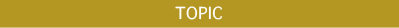 TOPICS