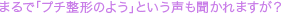 �ޤ�ǡ֥ץ������Τ褦�פȤ�������ʹ����ޤ�����