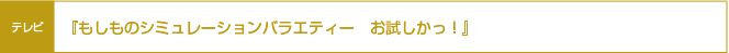�ؤ⤷��Υ��ߥ�졼�����Х饨�ƥ�����������á���