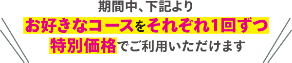 期間中、下記よりお好きなコースをそれぞれ1回ずつ特別価格でご利用いただけます