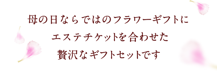 母の日エステギフトセット2025|エステといえば“たかの友梨” 母の日エステギフトセット2025|エステといえば“たかの友梨”