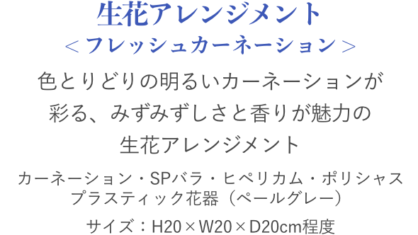 プリザーブドフラワーA ＜ブリリアントローズ＞
                                        丸みのある陶器に
                                        深紅のバラとカーネーションをあしらった
                                        高級感あるデザイン
