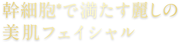 幹細胞で満たす癒しの美肌フェイシャル