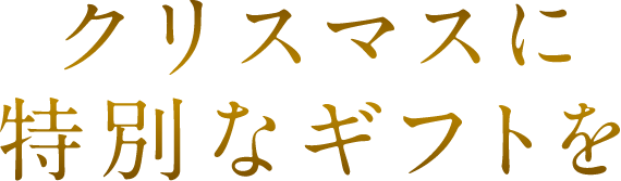 クリスマスに特別なギフトを