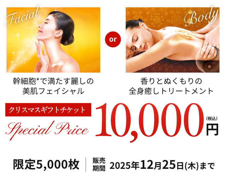 クリスマスギフトチケット10000円（税込）