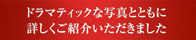 ドラマティックな写真とともに詳しくご紹介いただきました