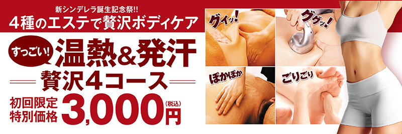 すっごい！温熱＆発汗贅沢4コース