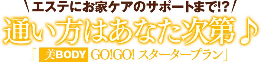 通い方はあなた次第♪ 「美BODY GO!GO! スタータープラン」