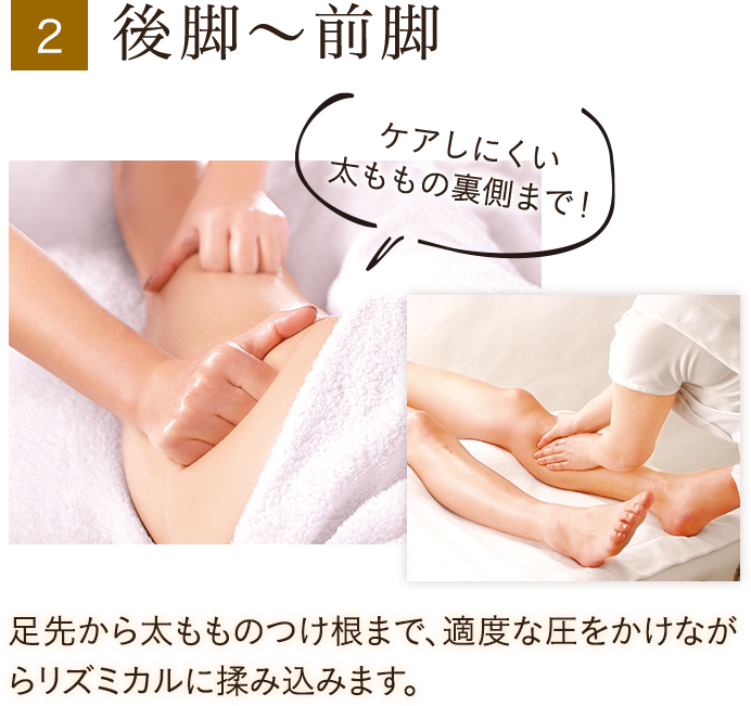 2 後脚〜前脚