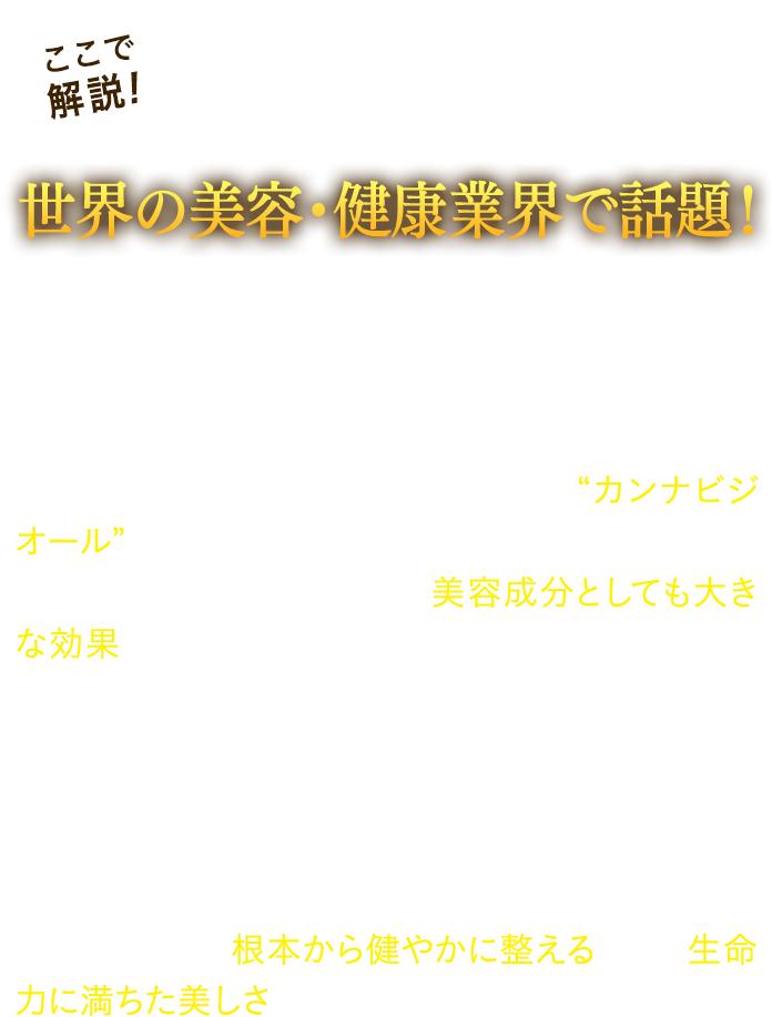 「CBD」とは?