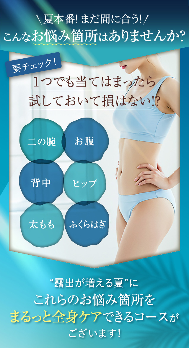 こんなお悩み箇所はありませんか？
        要チェック！　1つでも当てはまったら試しておいて損はない！？
        二の腕　お腹　背中　ヒップ　太もも　ふくらはぎ
        これらのお悩み箇所をまるっと全身ケアできるコースがございます！