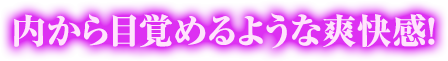 内から目覚めるような爽快感！