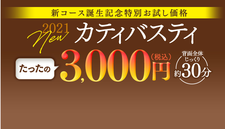 カティバスティ　3,000円（税込）