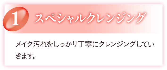 1 スペシャルクレンジング