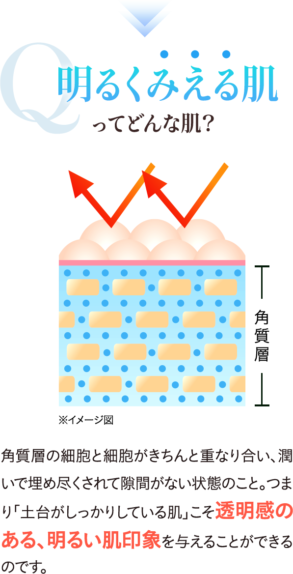 明るく見える肌ってどんな肌？　角質層の細胞と細胞がきちんと重なり合い、うるおいで埋め尽くされて隙間がない状態のこと。つまり「土台がしっかりしている肌」こそ透明感のある、明るい肌印象を与えることができるのです。