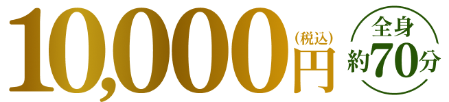 10000円（税込）