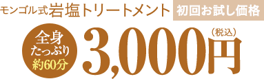 モンゴル式岩塩トリートメント　3,000円
