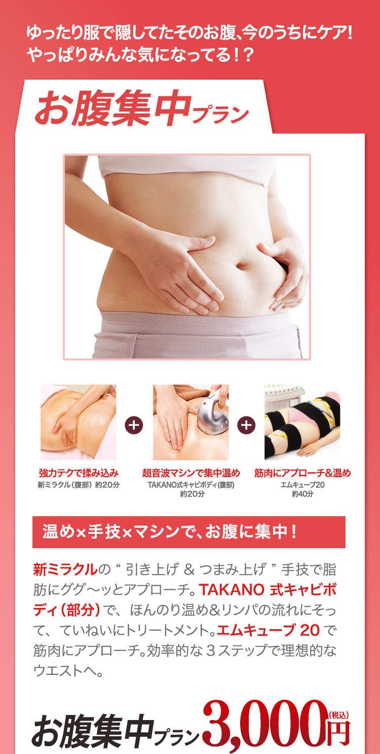 お腹集中プラン