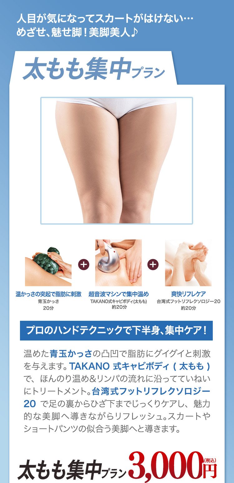 太もも集中プラン