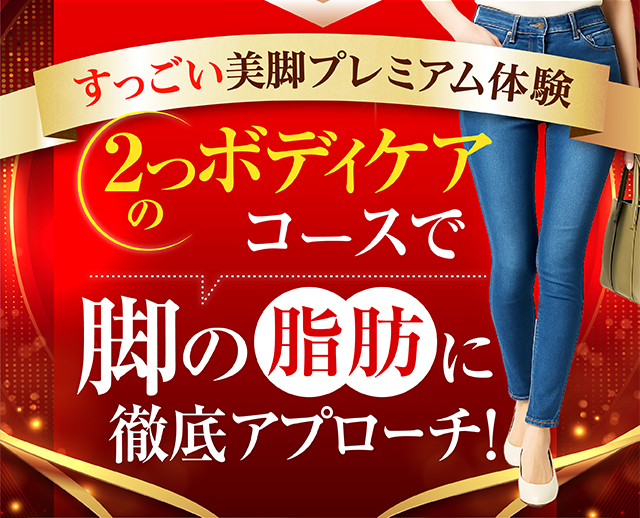 すっごい美脚エステプレミアム体験 2つのボディケアコースで脚の脂肪に徹底アプローチ!