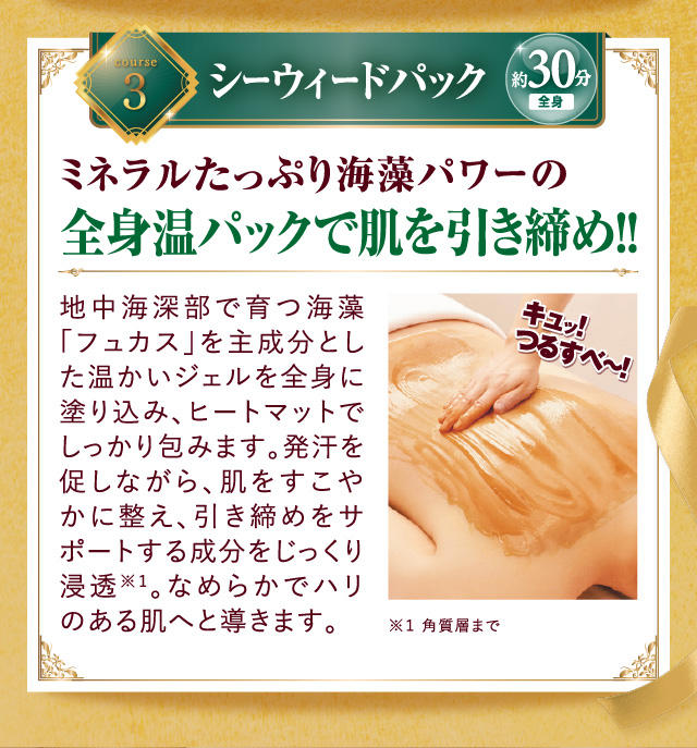 シーウィードパック