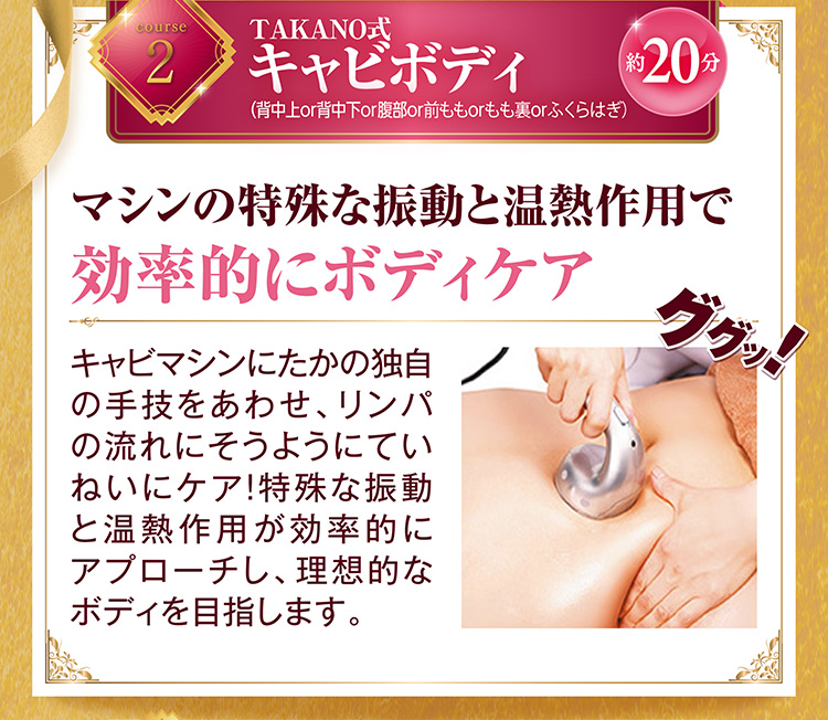 TAKANO式キャビボディ