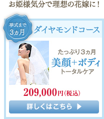 ダイヤモンドコース　209,000円