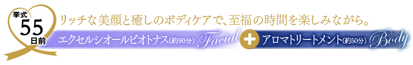 挙式55日前　リッチな美顔と癒しのボディケアで、至福の時間を楽しみながら。　エクセルシオールビオトナス（約90分）＋アロマトリートメント（約50分）