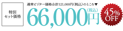 特別セット価格　66,000円