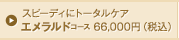 気になる部分を集中ケア エメラルドコース 66,000円