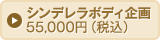 大幅減量 55,000円