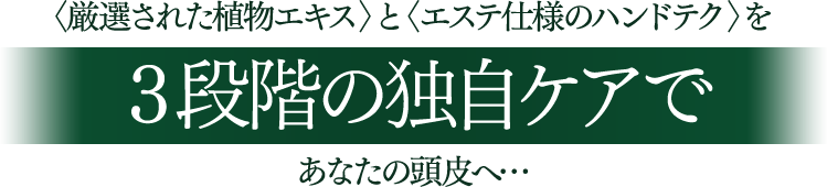 厳選された植物エキスとエステ仕様のハンドテクを３段階の独自ケアであなたの頭皮へ