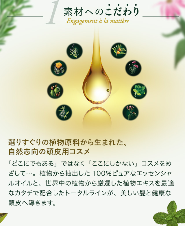 ルネフルトレールヘッドスパ ｜たかの友梨ヘッドスパ リボーテ 