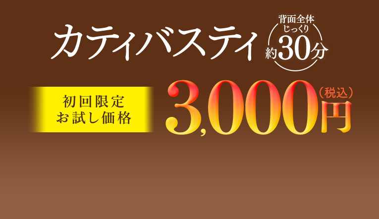 カティバスティ　3,000円（税込）