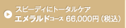 気になる部分を集中ケア エメラルドコース 66,000円