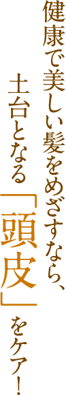 健康で美しい髪をめざすなら、土台となる「頭皮」をケア！