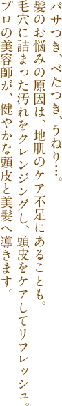 パサつき、べたつき、うねり…。髪のお悩みの原因は、地肌のケア不足にあることも。毛穴に詰まった汚れをクレンジングし、頭皮をケアしてリフレッシュ。プロの美容師が、健やかな頭皮と美髪へ導きます。