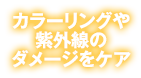 カラーリングや紫外線のダメージをケア