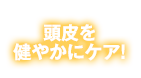 頭皮を健やかにケア！